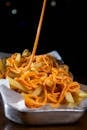 Close-up of French fries with rich cheese sauce, perfect for food enthusiasts.